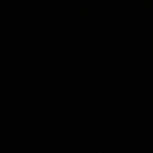 Meet your Posher, Chase